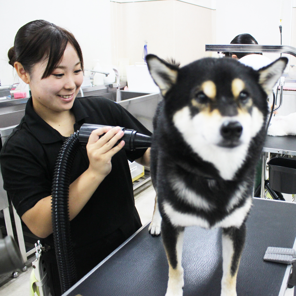 今日もかわいいお客様♪